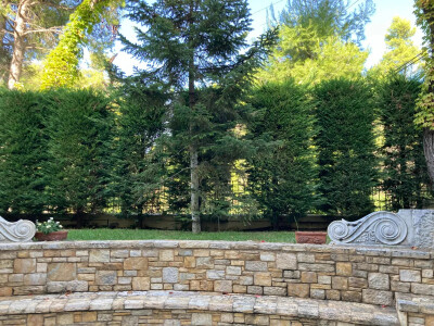 Μεζονέτα, 315τ.μ. Κέντρο, Διόνυσος (Αθήνα - Βόρεια Προάστια)-12